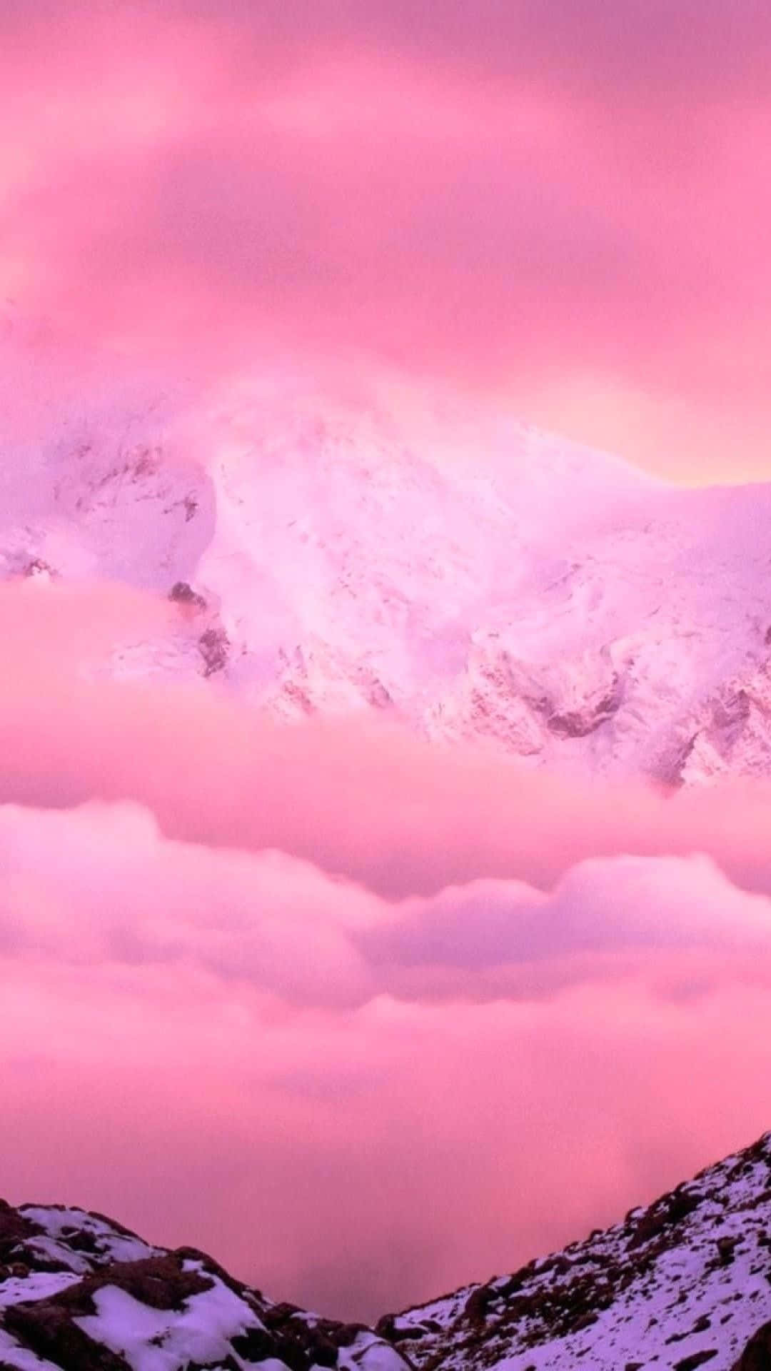 Hintergrundbilder Rosa