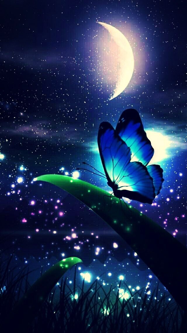 Schmetterlinge Hintergrundbilder