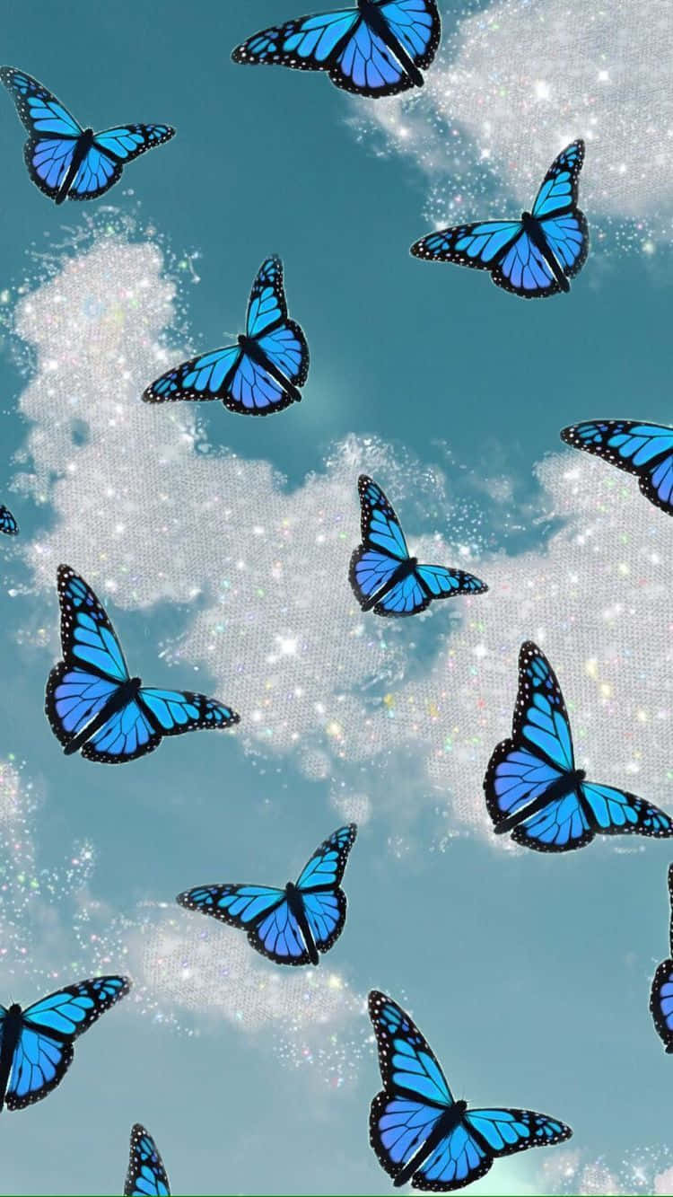 Schmetterlinge Hintergrundbilder