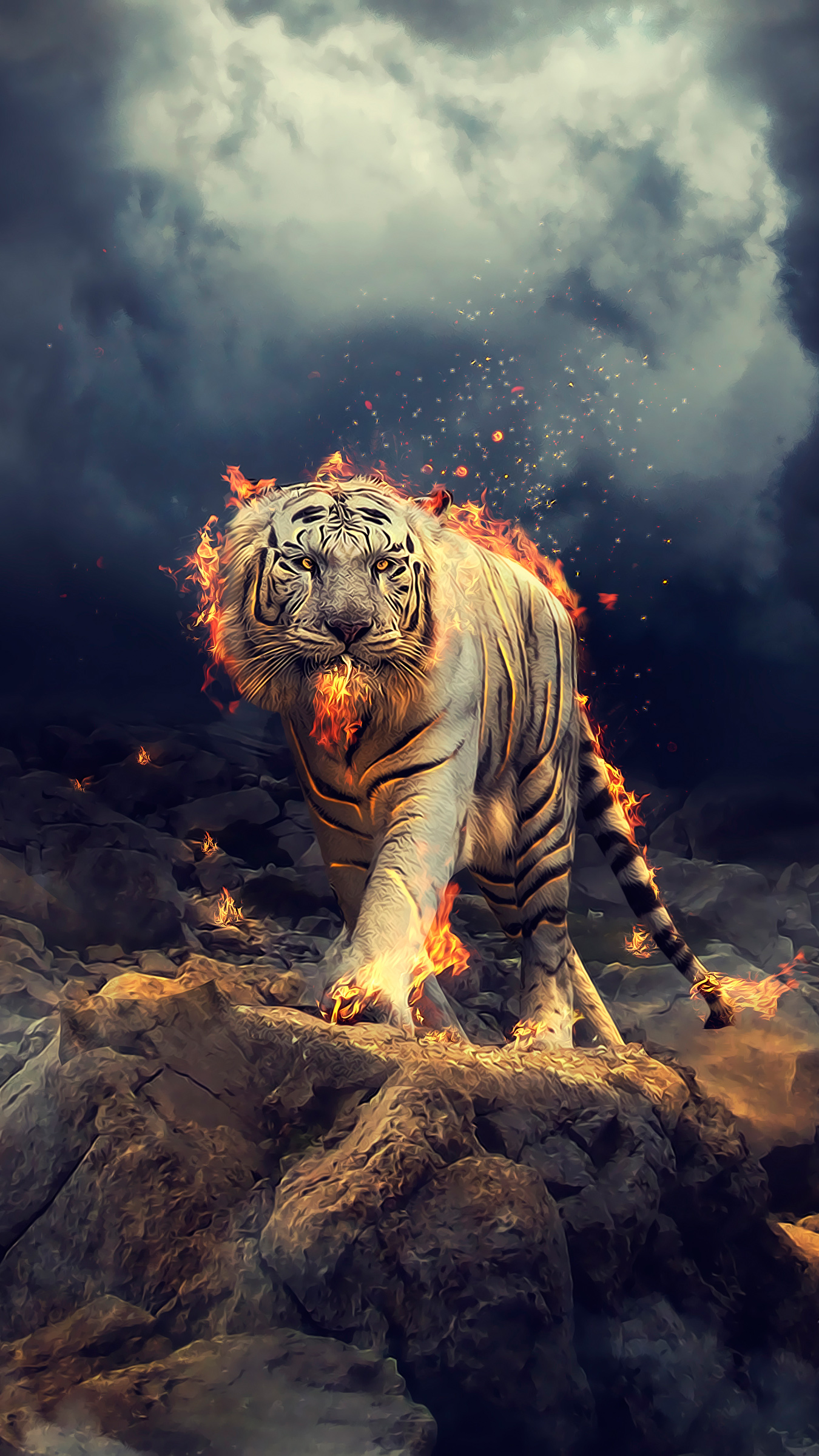 Tiger Hintergrundbilder