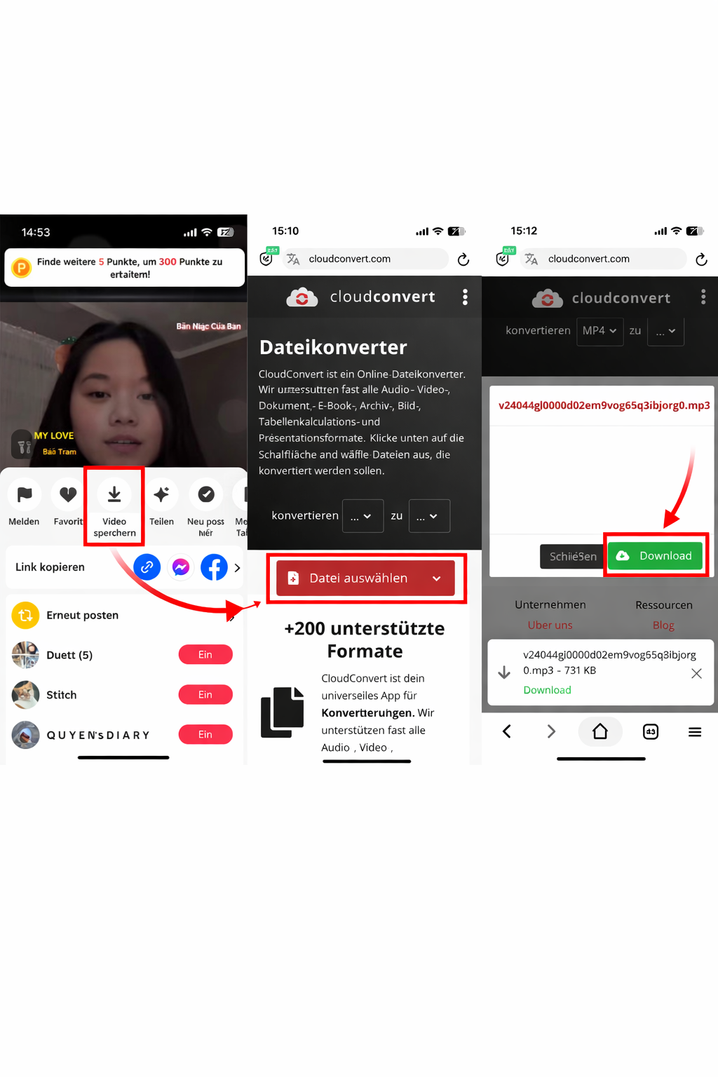 TikTok-Audio als iPhone-Klingelton verwenden