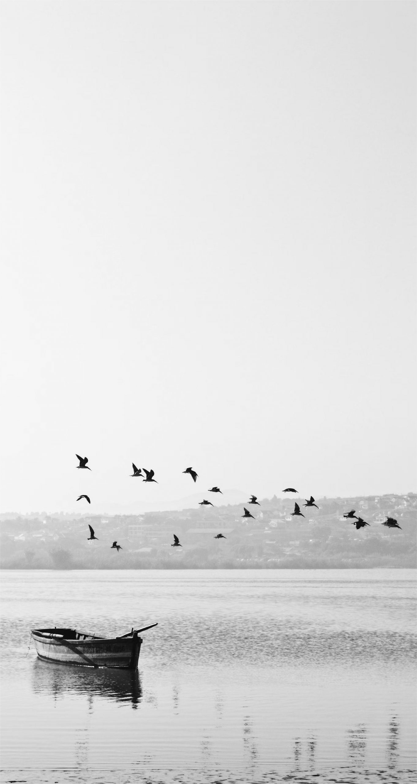 Weiß Hintergrundbilder